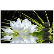 Tableau deco ambiance zen et fleur de lotus - 80x50