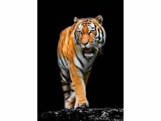 Tableau sur verre tigre précieux 45x65 cm 636584