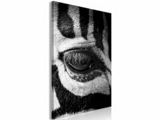Tableau zebra eye 1 pièce vertical taille 60 x 90 cm PD8529-60-90