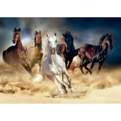 Ag Art - Poster Thème chevaux - 156 x 112 cm