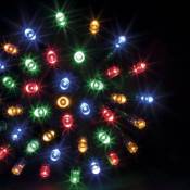 Fééric Lights And Christmas - Guirlande programmable