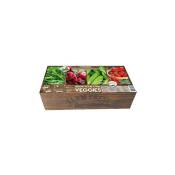 Florex - Carré de Potager Légumes avec mini serres