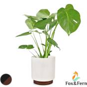 Fox & Fern Pot de Fleur Interieur, Pot pour Plantes