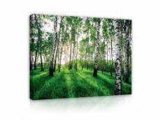 Impression sur toile vert forêt paysage nature 100x75 cm xxl tableau décoration murale intissée pour salon chambre pret a accroche