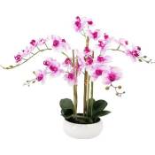 Orchidée Artificielle, Toucher Naturel, 6 Branches, Coupe Blanche, H.55cm, Veinée - ORCHIDEA