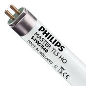 Philips - master TL5 ho 54W - 840 Blanc Froid 115cm