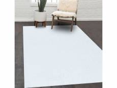 Tapis shaggy 60x110 cm rectangulaire shaggy sy blanc entrée adapté au chauffage par le sol