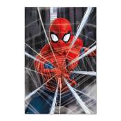 Affiche Spider-Man webs Marvel Comics