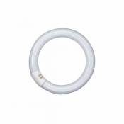 Osram tube fluorescent circulaire - osram lumilux t9 c - 40 watts - g10q - 6500k