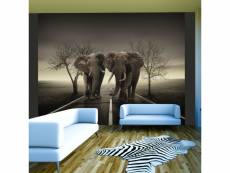 Papier peint ville d'éléphants l 250 x h 193 cm A1-XLFTNT0798