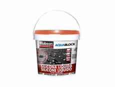 Rubson silicone liquide aquablock 1kg tuile. 1894877 E3-96635