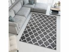 Tapiso tapis salon chambre moderne firet gris foncé
