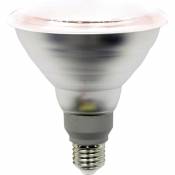 Ampoule led pour plantes LM85322 138 mm 230 v E27 12