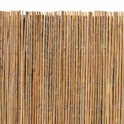 Clôture d'intimité en bambou Clôture de jardin en bambou Brise-vent naturel 5 mètre / 150cm