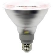 Lightme - Ampoule led pour plantes LM85322 138 mm 230
