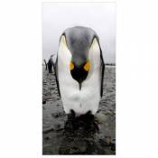 Panneau-rideau Penguins 250x120cm | support au choix