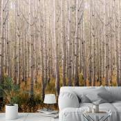 Papier peint Forêt de bouleaux 159x280cm