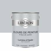 Peinture murs plafonds et boiseries Velours de peinture gris lumiere d'opale Liberon 2 5L
