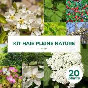 Pepinières Naudet - Kit Haie Pleine Nature - 20 Jeunes Plants -