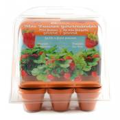 Radis Et Capucine - Mini-serre de jardinage : fraisiers à semer