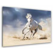 Hxadeco - Tableau animal le cheval blanc - 80x50 cm