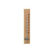 Inovalley - Thermomètre Intérieur Ou Extérieur A518