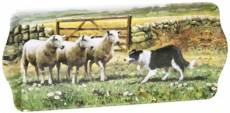 Macneil Collie & Sheep Plateau à sandwich en mélamine Leonardo LP91212 39 cm