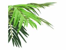 Vidaxl palmier phoenix artificiel avec pot 190 cm vert