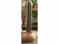 Cactus cierge en pot 104 cm