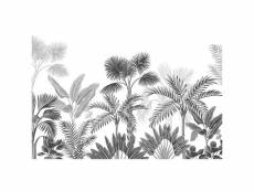 Poster thème palmier noir et blanc - 360 x 254 cm