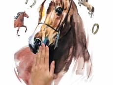 Stickers muraux géants chevaux sauvages à l'aquarelle
