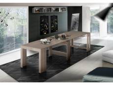 Table à manger moderne, made in italy, console extensible jusqu'à 12 places, avec support d'extension, 51x90h77 cm (jusqu'à 300 cm) couleur orme perlé