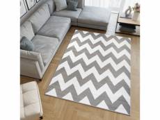 Tapiso tapis salon chambre firet moderne blanc gris