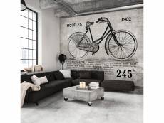 400x280 papier peint vintage et retro admirable bicycle