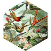 Estahome - Sticker mural oiseaux - 70 x 81 cm de vert