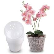 Linghhang - Pots d'orchidées en plastique transparents