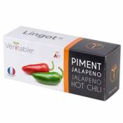 Lingot® Piment Jalapeno pour potager Véritable®