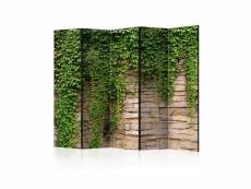 Paravent 5 volets - ivy wall ii [room dividers] A1-PARAVENTtc1392