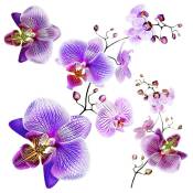 Sticker Orchids - 1 planche 30 x 30 cm