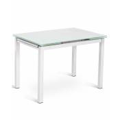 Table Extensible 110-170 x 75 cm