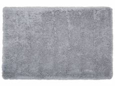 Tapis gris clair 200 x 300 cm cide 163155