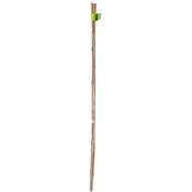 Tuteur bambou naturel 150cm ép.10/12mm lot de 2 pièces