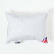Homescapes - Coussin de garnissage Duvet de Canard, 30 x 40 cm - Blanc