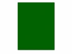 Papiers carton iris vert 185 g (50 x 65 cm) (25 unités)
