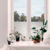Adhésif décoratif pour vitre Sable opaque 200 x 67,5cm Blanc - Blanc