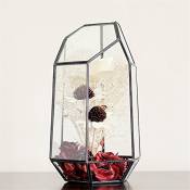 Asvert Terrarium Plante Verre, Vase Transparent en