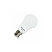 Vision-el - Ampoule led B22 Bulb blanc chaud 12W (110W) 3000°K - Blanc
