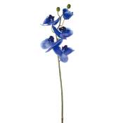 Tige d'orchidée phalaenopsis bleue H47