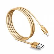 Blaupunkt - MP0212-191 - Câble de Charge Métal USB-Lightning - pour iPod/iPhone/iPad - 1,2m - Or