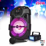 Party Light & Sound Enceinte karaoke mobile 250W 8